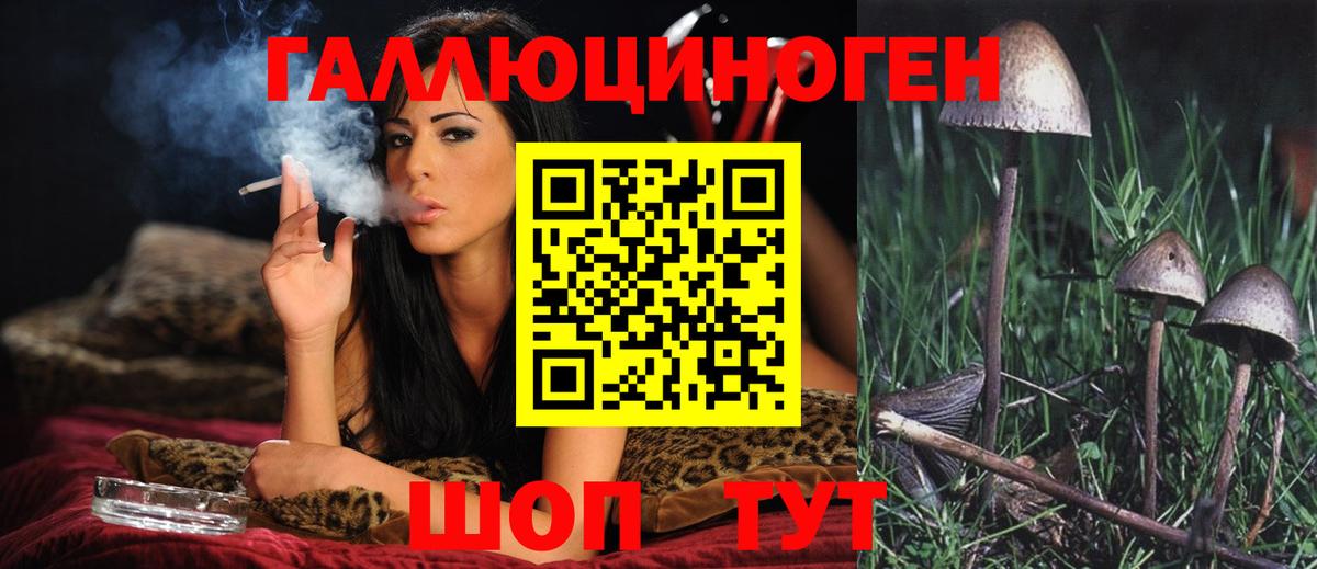Псилоцибиновые грибы GOLDEN TEACHER  Вход с VPN  где можно купить наркотик  Раменское 