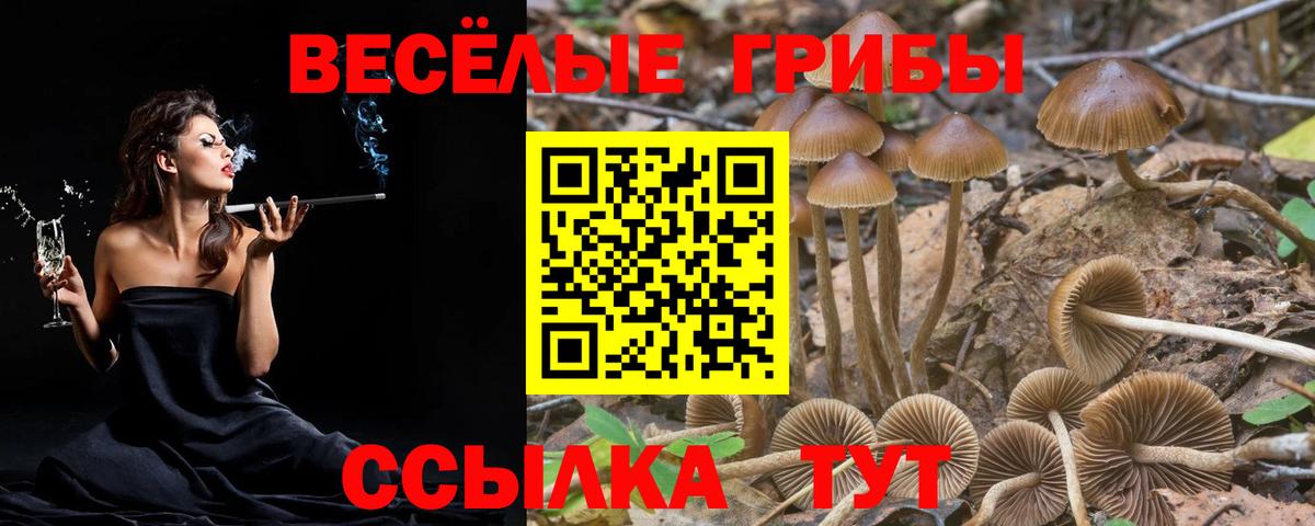Галлюциногенные грибы ЛСД Раменское